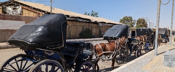 尼羅河輪 (搭馬車前往艾德芙神殿→世界最大神殿群-卡納克神殿→路克索神殿)