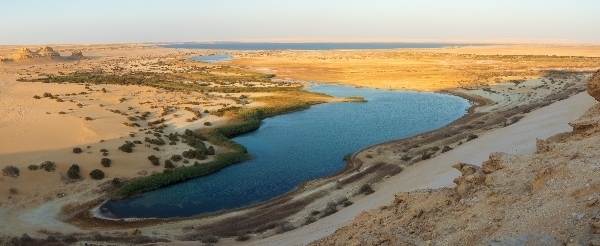 黑白沙漠→沙漠衝沙→鹽湖→沙漠市集→夜宿法尤姆